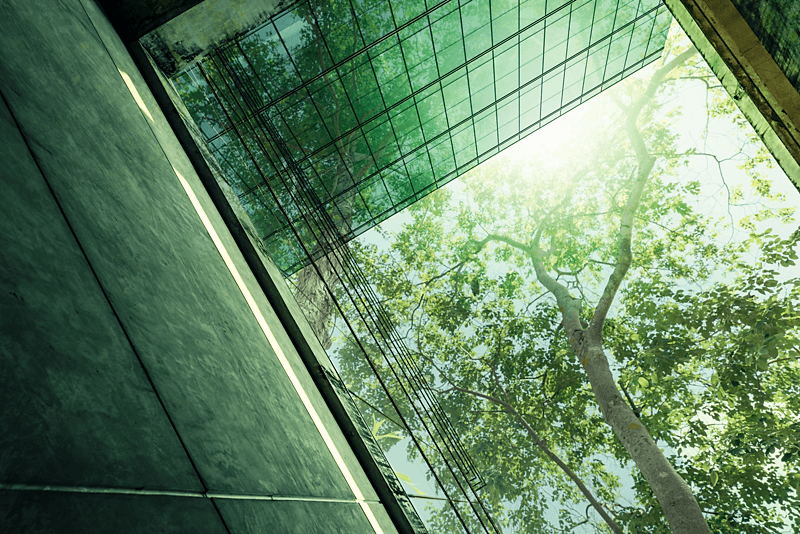 Environmental Management System Auditor/Lead Auditor Training Course as per ISO 14001:2026 