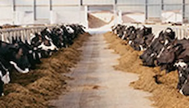Normy upravující jakost krmiv pro zvířata a jejich ingrediencí (GMP / PDV a FAMI QS)