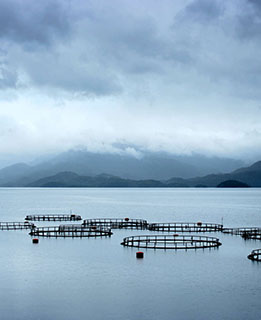 GLOBALG.A.P. IFA – Aquaculture