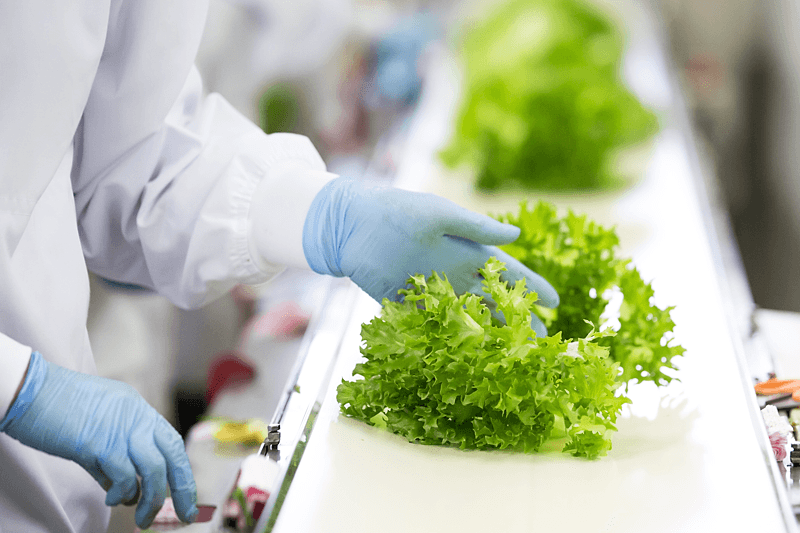 Certifikace HACCP: Analýza rizik a kritické kontrolní body