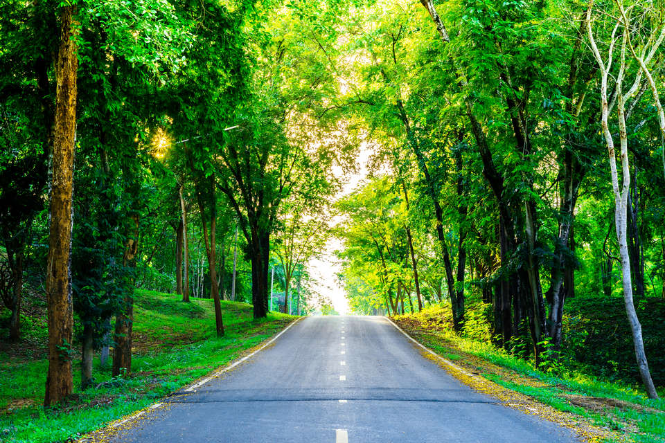 FSC® - Chain of Custody Certification