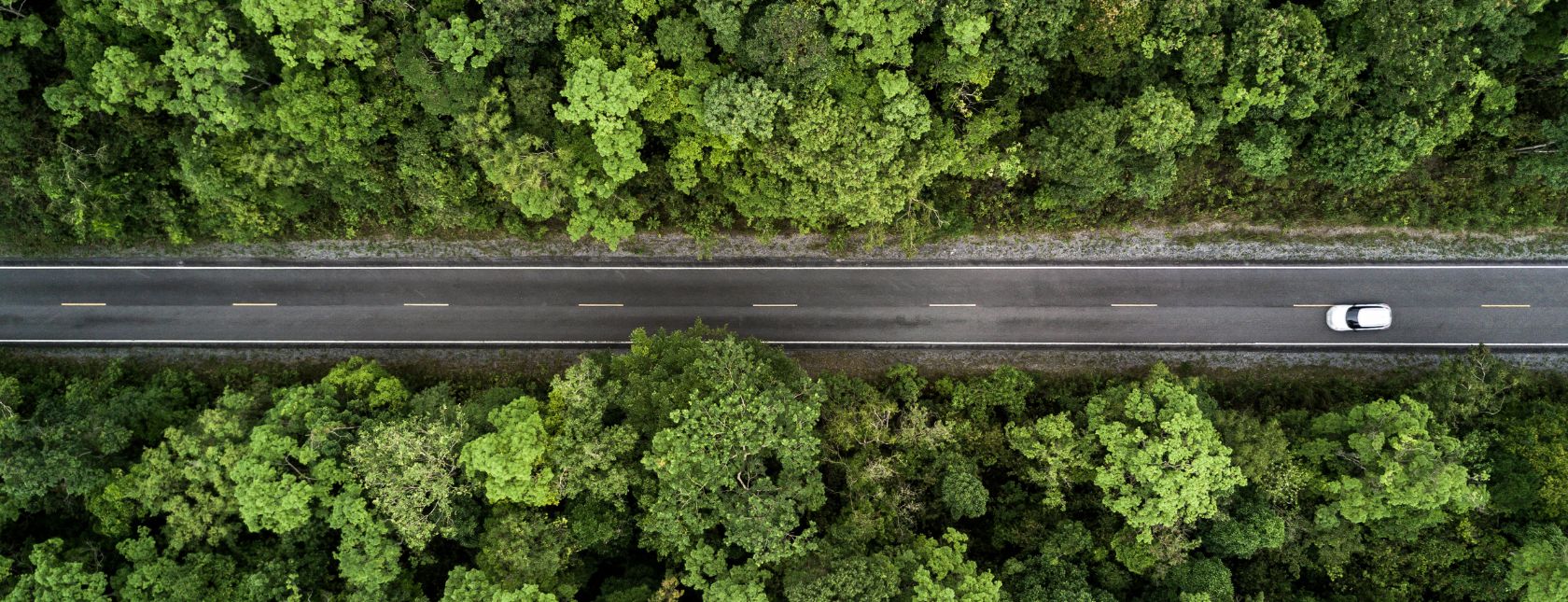 Aerial view of road through the green forest
