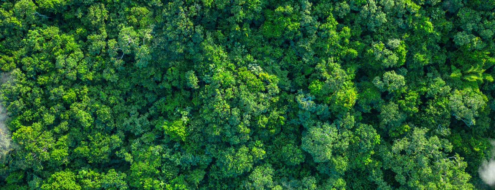 Revision of ISO 14001 - Environmental Management System