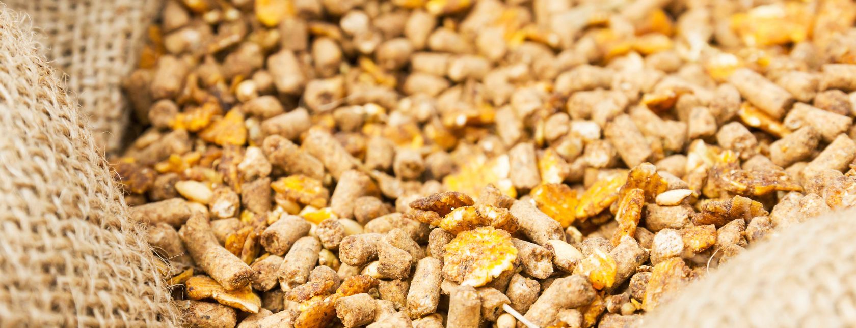 GLOBALG.A.P Compound Feed Manufacturing