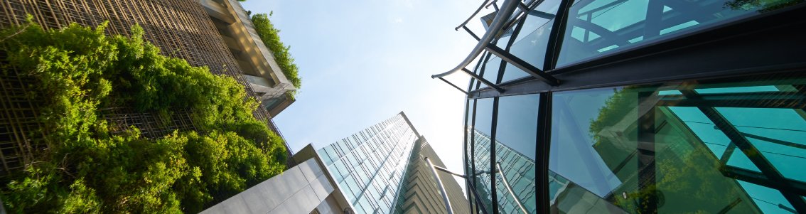 Compliance & Due-dilligence_1134x300