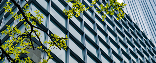 Životní prostředí a energie