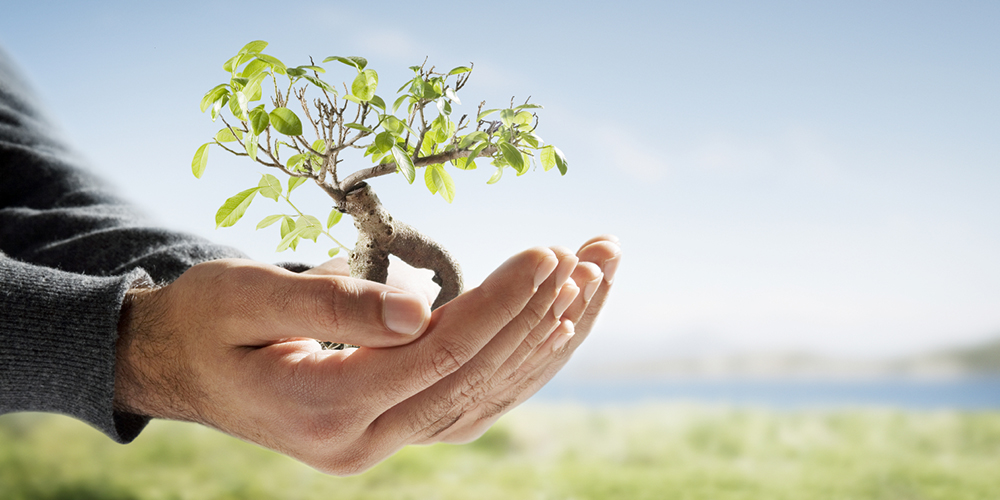 ESG & Sustainability Assurance Services 