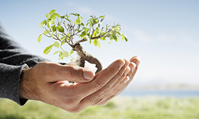 ESG & Sustainability Assurance Services