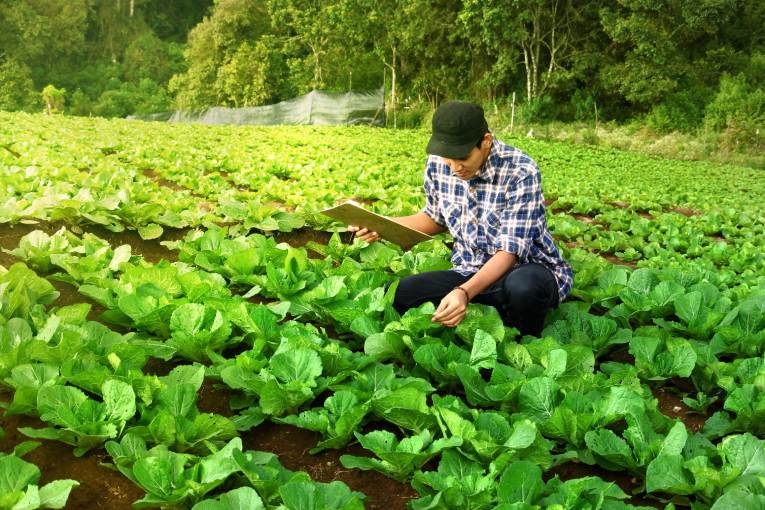 Strategie  "z farmy na vidličku" / Farm to Fork 