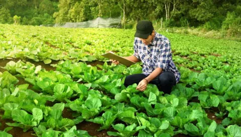 Strategie  "z farmy na vidličku" / Farm to Fork