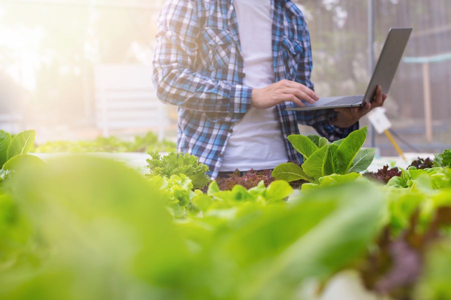 DNV STP non-Genetically Engineered ingredients