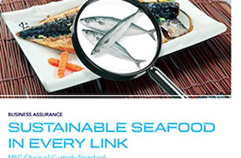 MSC Chain of Custody Standard