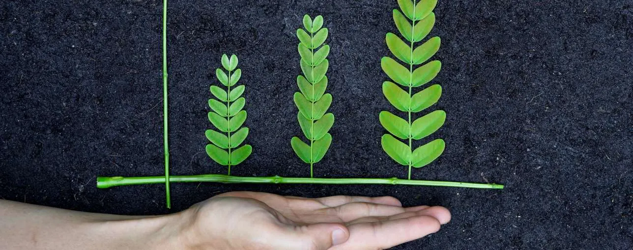 Greenwashing: 6 reasons why businesses do it_tile