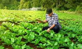 ISO 14001:2015 Awareness Course - E-learning (in English)