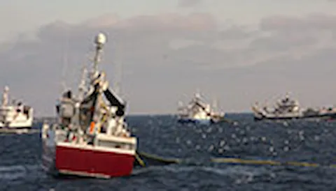 MSC Principles and Criteria for Sustainable Fishing