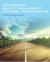 Systém řízení jakosti DNV