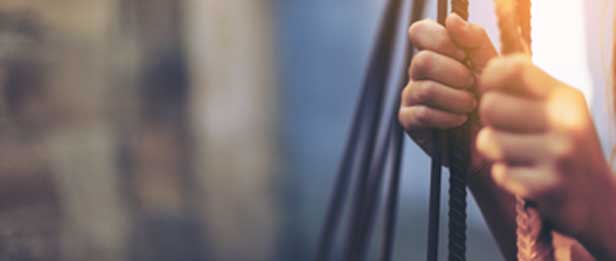 Social and human rights