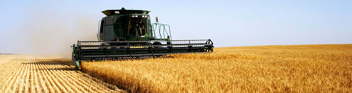 DNV GL - Business Assurance and GFK Eurisko carried out a survey on the management of the Food & Beverage supply chain.