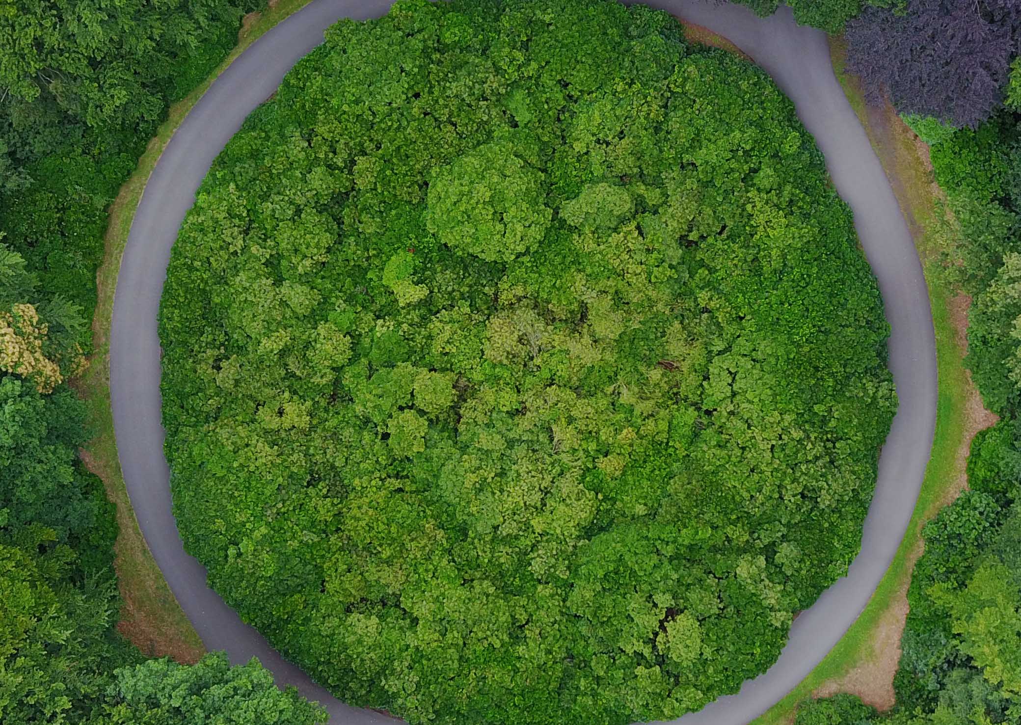 How are companies transitioning towards the circular economy?